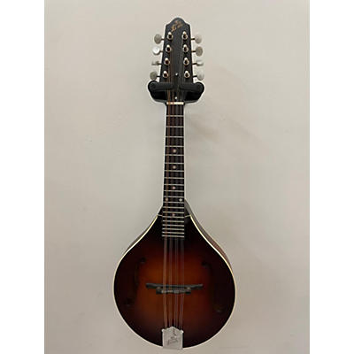 The Loar LM110 BRB Mandolin