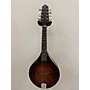 Used The Loar LM110 BRB Mandolin Antique Natural