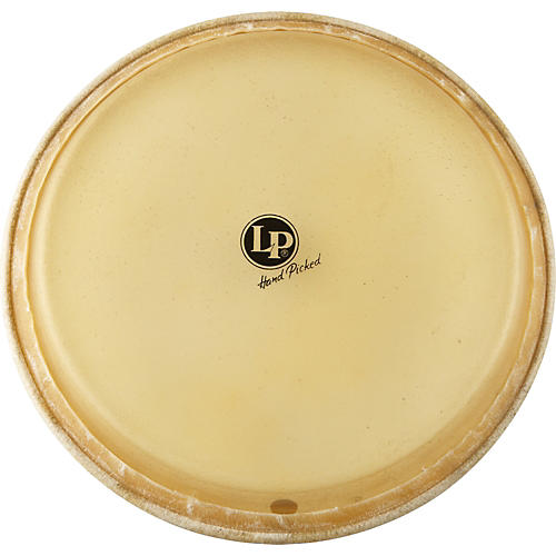 LP LP265C Conga Head 12.5 in.
