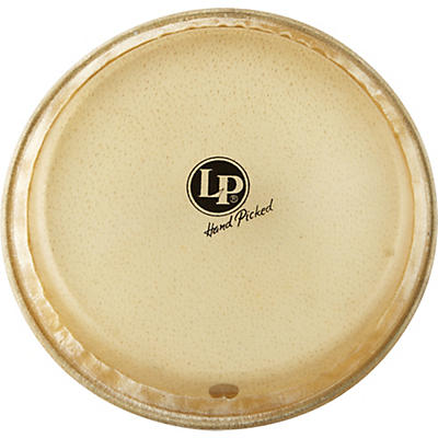 LP LP266B Conga Head