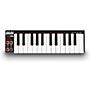 Akai Professional LPK25 Laptop Performance Keyboard