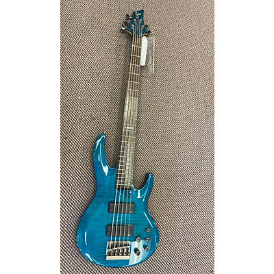 ESP LTD B155DX 5 String Electric Bass Guitar