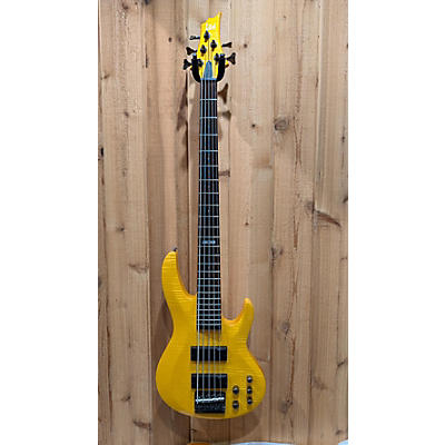 ESP LTD B155DX 5 String Electric Bass Guitar