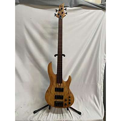 ESP LTD B204 Fretless Electric Bass Guitar