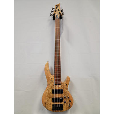 ESP LTD B205FL Electric Bass Guitar