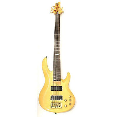 ESP LTD B205fm Electric Bass Guitar