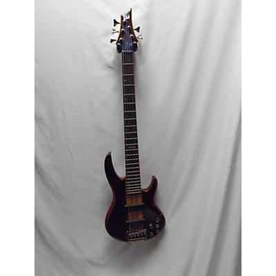 ESP LTD B5E 5 String Electric Bass Guitar