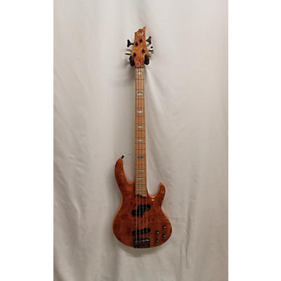 ESP LTD RB1004 Electric Bass Guitar