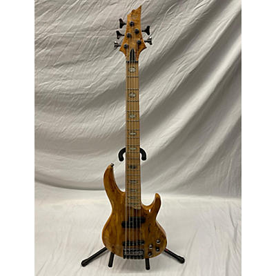 ESP LTD RB1005 5 String Electric Bass Guitar