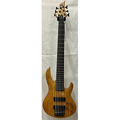 ESP LTD RB1005 5 String Electric Bass Guitar