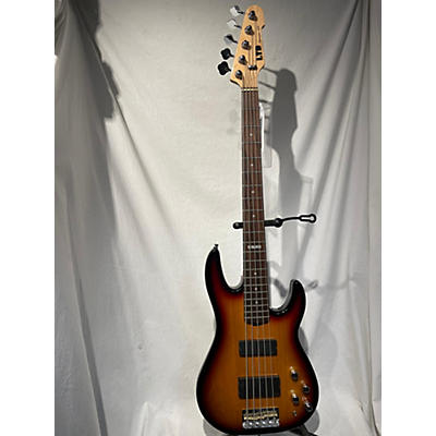 ESP LTD Surveyor 5 5 String Electric Bass Guitar
