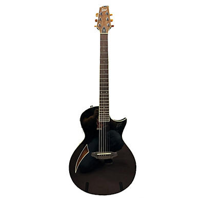 ESP LTD TL6 Acoustic Electric Guitar