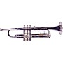 Lauren LTR110 Series Student Bb Trumpet Silver plated