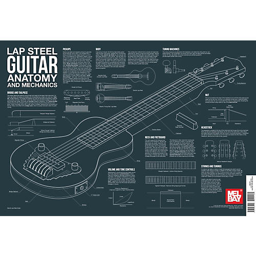 Lap Steel Guitar Anatomy and Mechanics Wall Chart