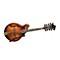Legacy Dragonfly Mandolin Level 1 Satin Flame Antique Violin
