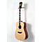 Lexington Dreadnought Acoustic-Electric Guitar Level 3 Natural 190839045201