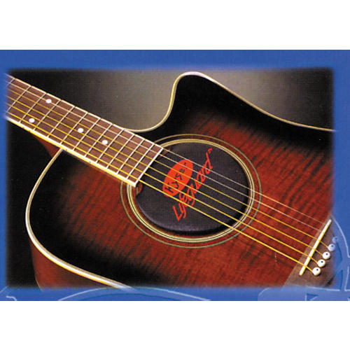 Lifeguard 6 or 12 String Acoustic Guitar Humidifier