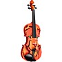 Rozanna's Violins Lion Spirit Violin Outfit 3/4