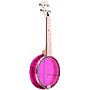 Open-Box Gold Tone Little Gem Banjo Ukulele Condition 2 - Blemished Amethyst 197881474188
