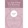 Boosey and Hawkes Lo, How A Rose E'er Blooming (Christmas Music - Sacred) CHORAL arranged by Shawn Kirchner