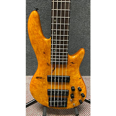 ESP Ltd H1005SE Electric Bass Guitar