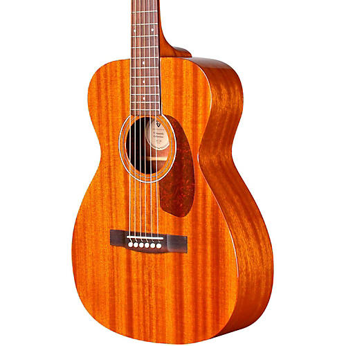 M-120 Acoustic Guitar