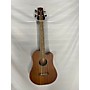 Used Gold Tone M Bass 23 Acoustic Bass Guitar Natural