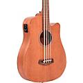 Gold Tone M-Bass25FL 25