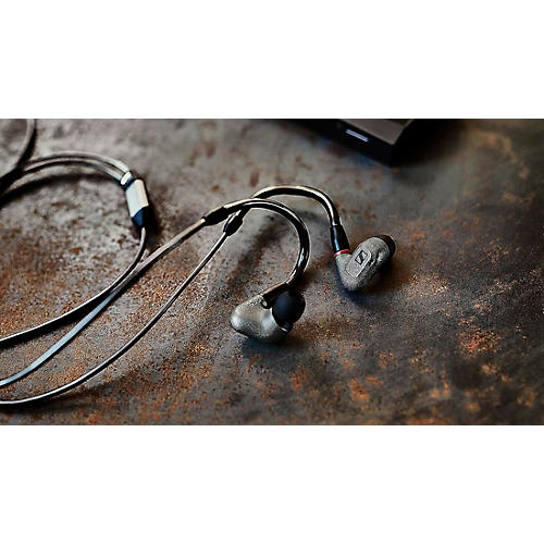 Sennheiser IE 600 | Musician's Friend