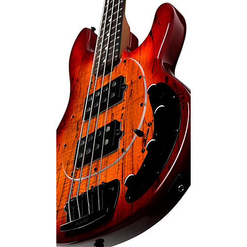 Sterling by Music Man StingRay RAY34 HH Spalted Maple Top Bass