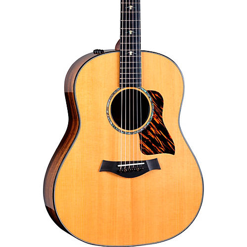 Taylor Demo Gear