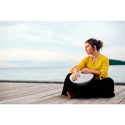 Roland moodpan MN-10 デジタル　ハンドパン ハンドパンの癒しを進化させた電子楽器、Roland「Mood Pan MN-10」発表