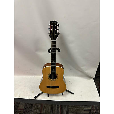 Mitchell MDJ10 Acoustic Guitar