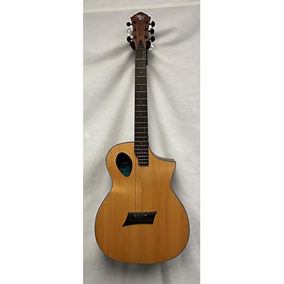 Michael Kelly MKFPSNASFX Acoustic Electric Guitar