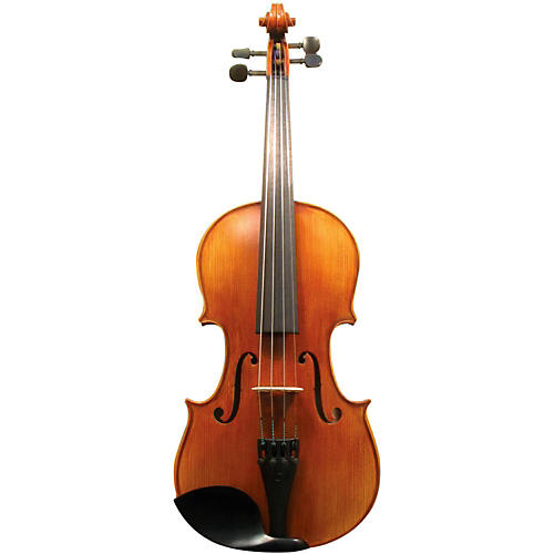 Maple Leaf Strings MLS 140 Apprentice Collection Violin Outfit Condition 2 - Blemished 4/4 Size 194744155017