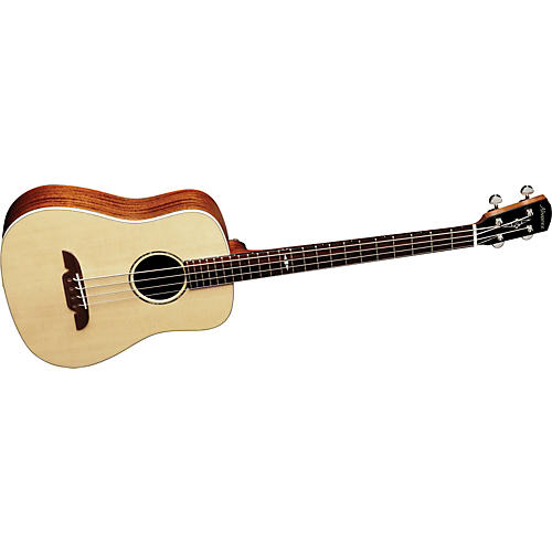 MSB6102 Masterworks Small Acoustic-Electric Bass with Fishman IONt