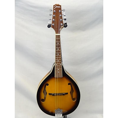 Johnson Ma-100 Mandolin