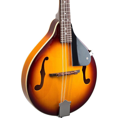 Mandolins, Banjos & Ukuleles