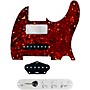 920d Custom Mason-Style Loaded Pickguard for Nashville Tele With TMAS-C Control Plate Tortoise