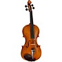Open-Box Ren Wei Shi Master Series Guarneri del Gesu 1743 Bench Copy Violin Condition 2 - Blemished 4/4 194744125645