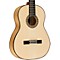 Master Series Reyes Nylon String Acoustic Guitar Level 2 Regular 888366003671