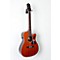 Masterbilt EF-500RCCE Fingerstyle Acoustic-Electric Guitar Level 3 Matte, Gold 888365814889