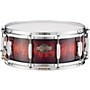 Pearl Masters BCX Birch Snare Drum 14 x 5.5 in. Gold Bronze Glitter