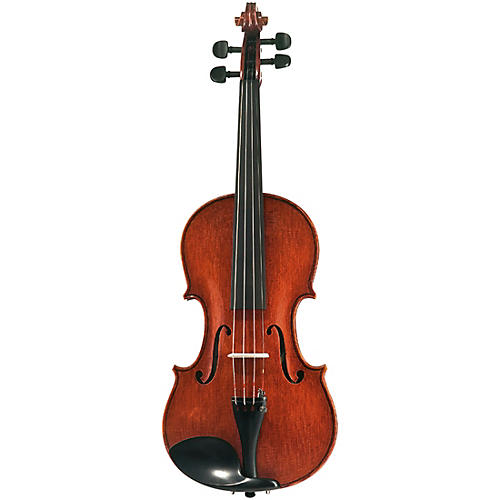 Messina Series Violin Outfit