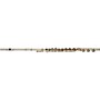 Open-Box Gemeinhardt Model 23SSB Professional Flute Condition 2 - Blemished Regular 194744193514