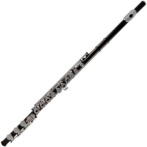 Model 3 Black Intermediate Flute Outfit