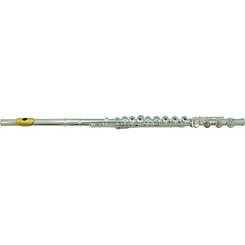 Model 33SBGLP Professional Flute