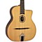 Model 39 Gypsy Jazz Acoustic Guitar Level 2 Regular 888366040195