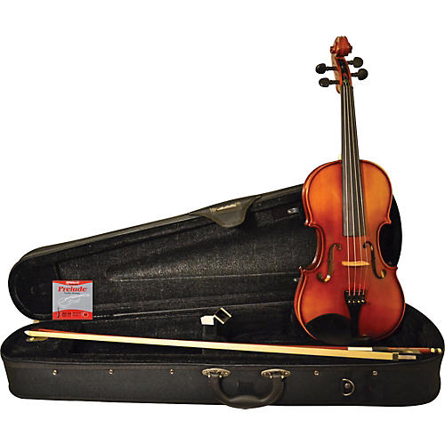 Model 79 Violin Outfit