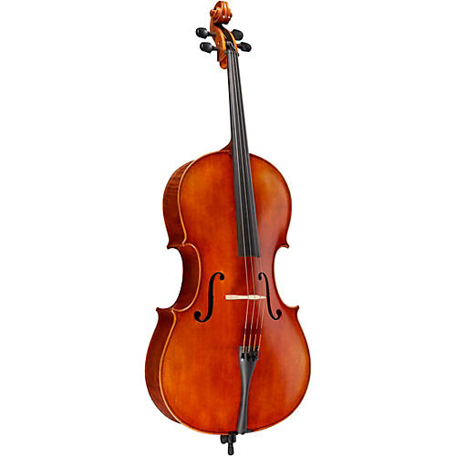 Ren Wei Shi Model 8000 Cello Condition 1 - Mint Cello Only
